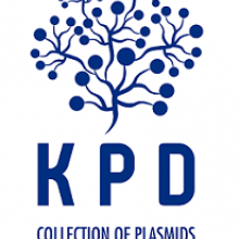 Collection of Plasmids and Microorganisms